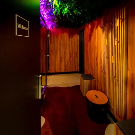酒店 Nobilis - Mlada Boleslav 4*